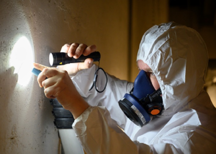 Understanding Asbestos Testing Procedures: A Comprehensive Guide 